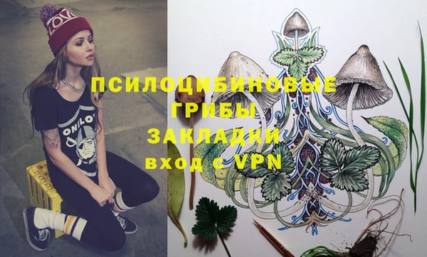 мдпв Вязьма
