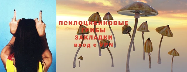 мдпв Вязьма