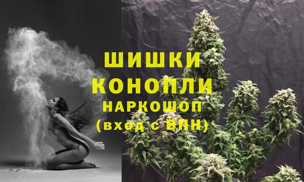 мдпв Вязьма