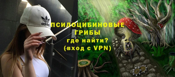 Альфа ПВП Вяземский